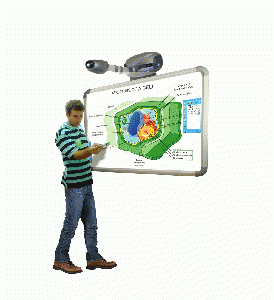 touch sensitive whiteboard